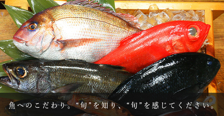 伊豆下田・渡邊水産｜日本一の金目鯛と前浜で揚がる旬の地魚をお届けし 